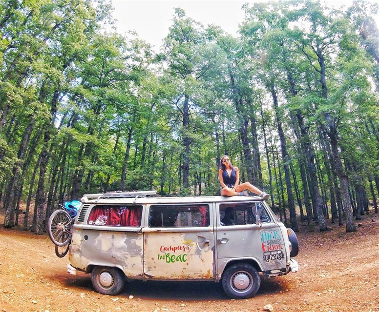 In the forest we find those who... (Akkar)