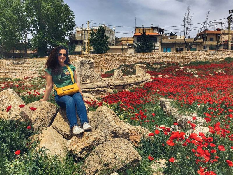 In the land of red poppies ❤🎈 Ливанская работа, перейди на Федота. И на Ма (Baalbek , Roman Temple , Lebanon)
