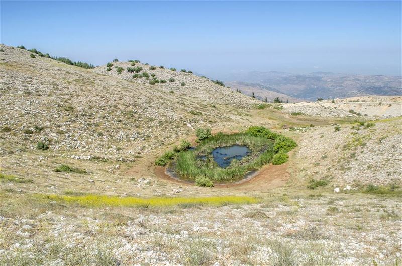 In the middle of  nowhere 💛🇱🇧............... Lebanon ... (Al Shouf Cedar Nature Reserve)