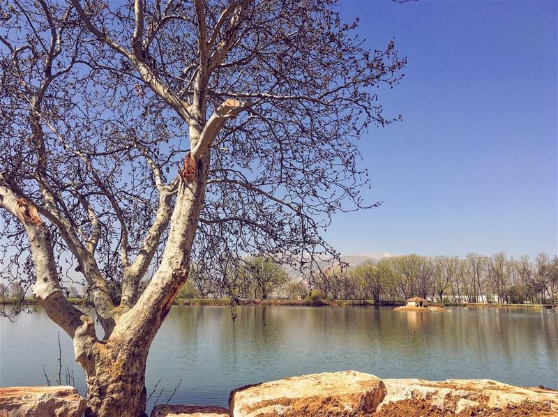 In the stillness of existence, you revel in your significance, envious of... (Deïr Taanâyel, Béqaa, Lebanon)