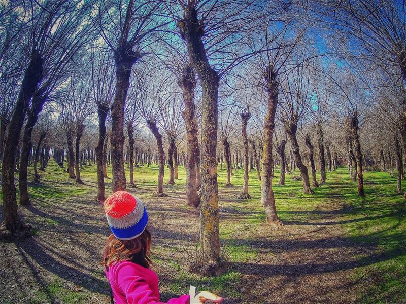 In ❤ with this place 🌳 trees  taanayel  livelovelebanon  onelebanon ... (Deïr Taanâyel, Béqaa, Lebanon)