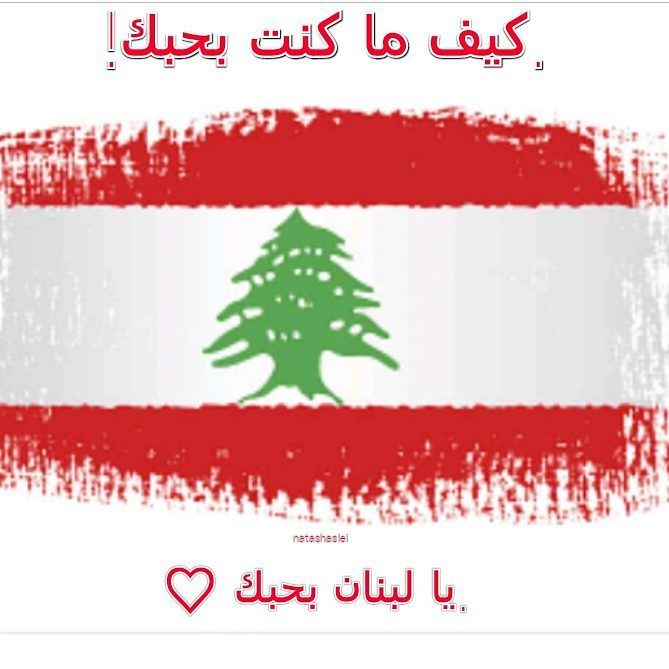  indépendance  independanceday  22nov1943  lebanon  proudlylebanese ...