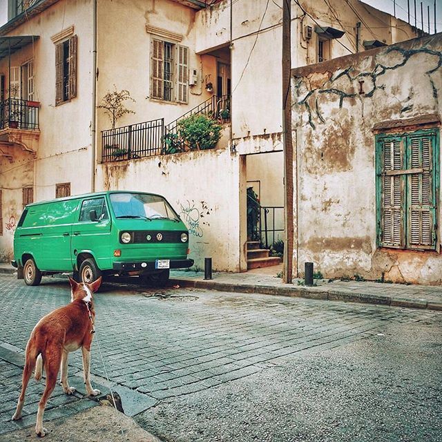 Indie loves authenticity as much as we do 💚 (Beirut, Lebanon)