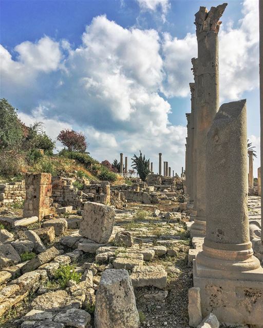 Inertia .....  nature historicalcity  neverstopexploring sky_captures ... (Tyre, Lebanon)