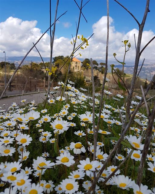 Inner beauty ...  ig_lebanon  insta_lebanon  insta_jezzine  insta_worldz ...