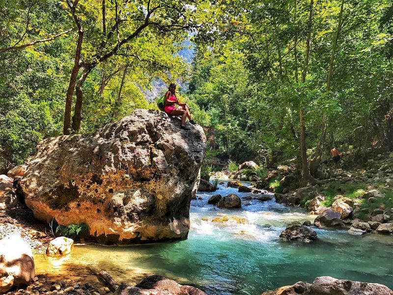 Inside a painting ❤️  beautiful  river  rock  nature  stunning  trees ... (Chouwen)