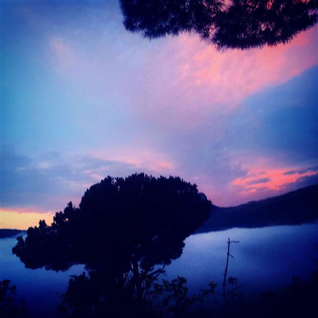  insta_lebanon  ig_lebanon  proudlylebanese  Jackharbphotography ... (Tannourine)