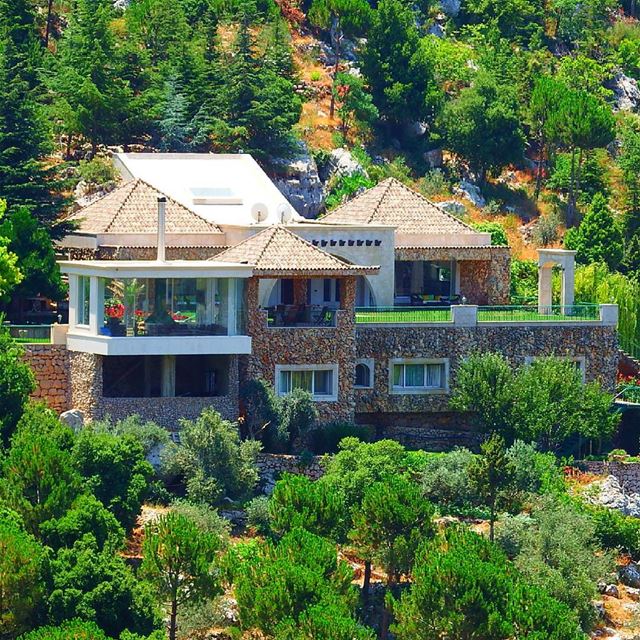  insta_lebanon  ig_lebanon  proudlylebanese  Jackharbphotography ...