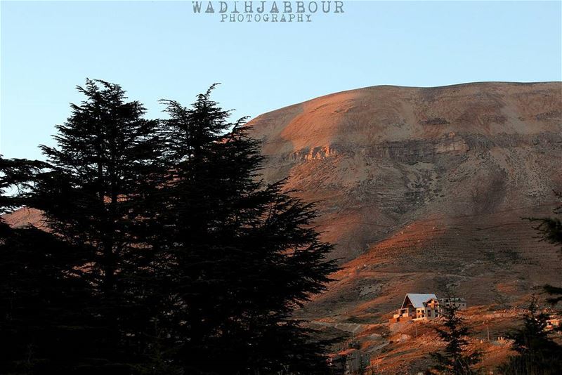 🔹🔹🔹🔹🔹 insta_lebanon  igpowerclub  Super_Lebanon  ig_lebanon ... (Cedars of God)
