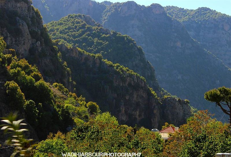 🔹🔹🔹🔹🔹 insta_lebanon  igpowerclub  Super_Lebanon  ig_lebanon ... (Tannourine - Balou' Balaa)