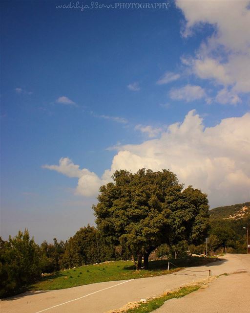 🔹🔹🔹🔹🔹 insta_lebanon  igpowerclub  Super_Lebanon  ig_lebanon ...