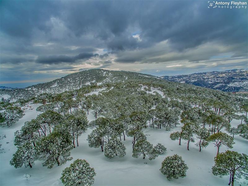  insta_worlds  beautifuldestinations  onlyonelebanon  wonderful_places ... (Marj Baskinta)