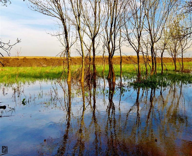  instaamici  insta_lebanese  livelovelebanon  wearelebanon  nature_seekers... (`Ammiq, Béqaa, Lebanon)