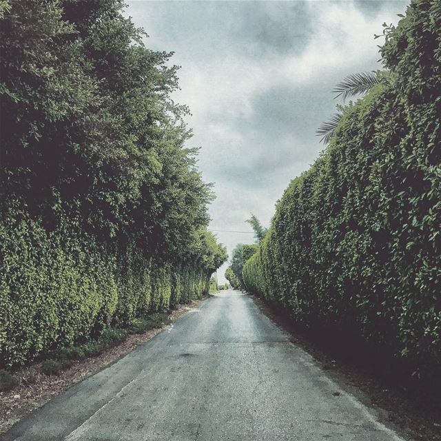  instagood  instadaily  love  beautiful  landscape  photography  nature ... (Soûr, Al Janub, Lebanon)