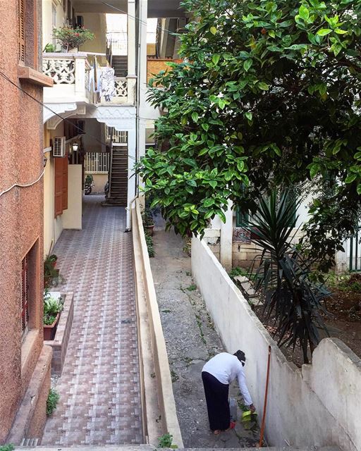  instagram  beirut  urban  life  houses  old  street ... (Achrafieh, Lebanon)