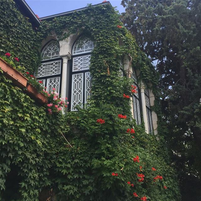  instalebanon  summer  lebanon  village  whatsuplebanon  windows ... (Douma, Liban-Nord, Lebanon)