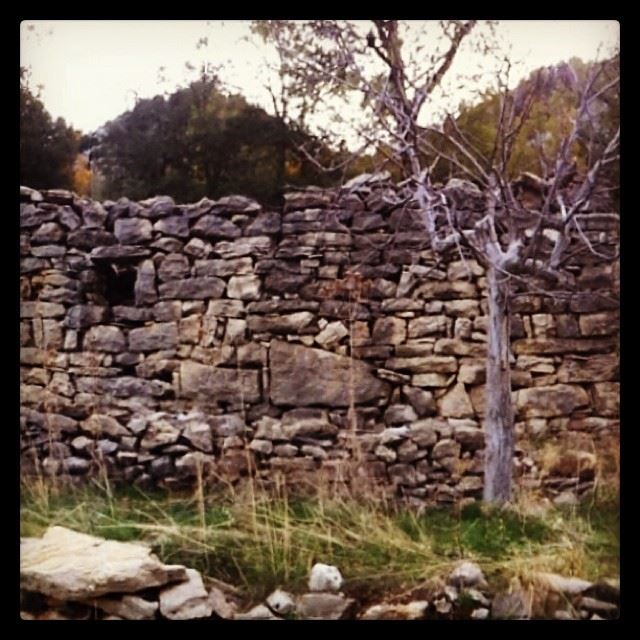  instanatural   oldhouse  lehfed ...