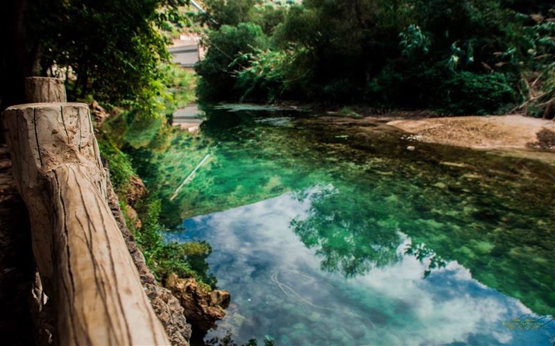  instapic  instasize  dam  of  joun  wood  water  tree  beautiful  nature ...