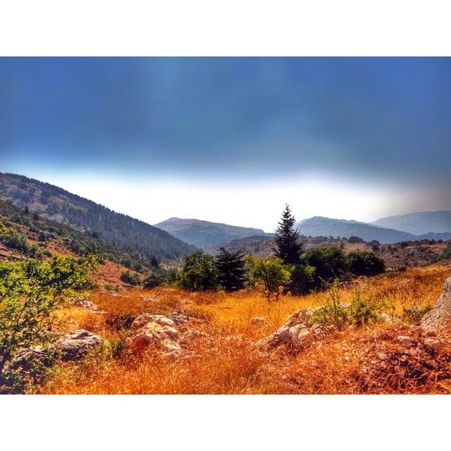  InstaSize  lebanon  barouk  nature  landscape  wearelebanon ...