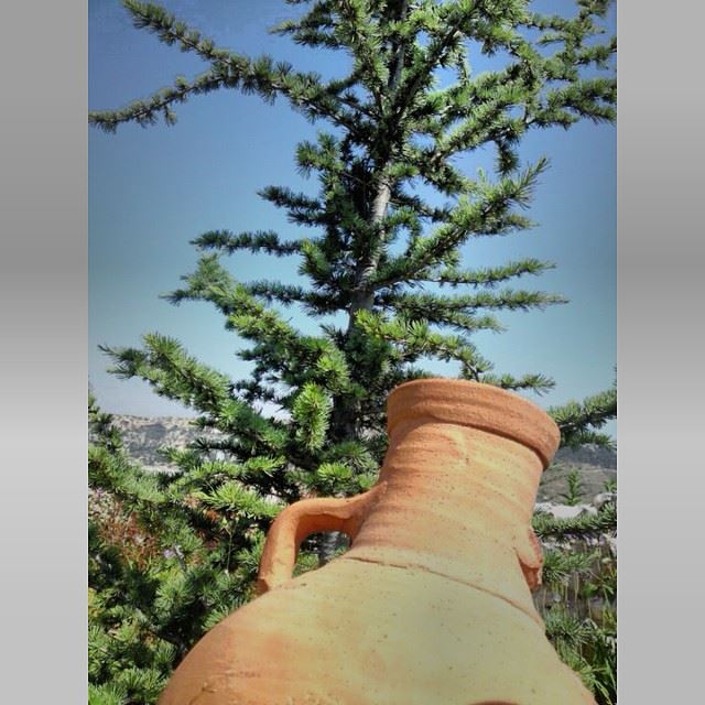  InstaSize  lebanon  viewfromlebanon  view  tree  peace  peacful ...