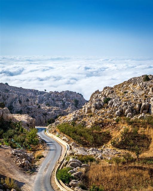.Into the clouds... The Fantastic Nature of Akkar, North of Lebanon. Good... (`Akkar, Liban-Nord, Lebanon)