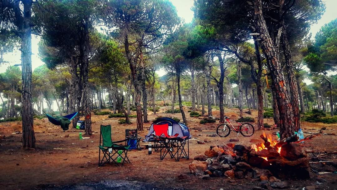 Into the wild   monday morning bonefire tent hammock camp camping biking...