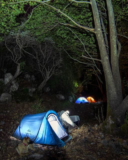 Into the wild⛺..... nightscape night camping camp adventuretime... (Kfarhilda, North)
