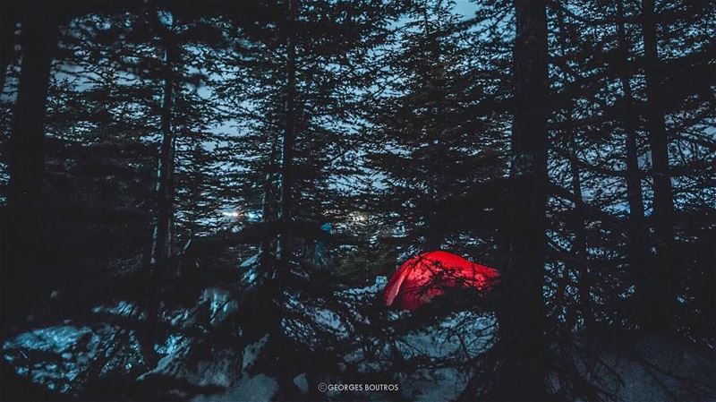 Into the woods❗️🎈-- camping  georgesboutrosphotography  lebanon ... (The Cedars of Lebanon)