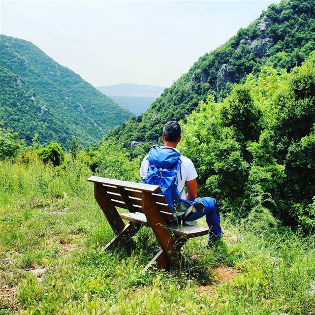 INVEST IN YOUR HEALTH BANK ACCOUNT .هيدا البنك الوحيد المليان فضاوة بال🌲 (Wadi Salib)
