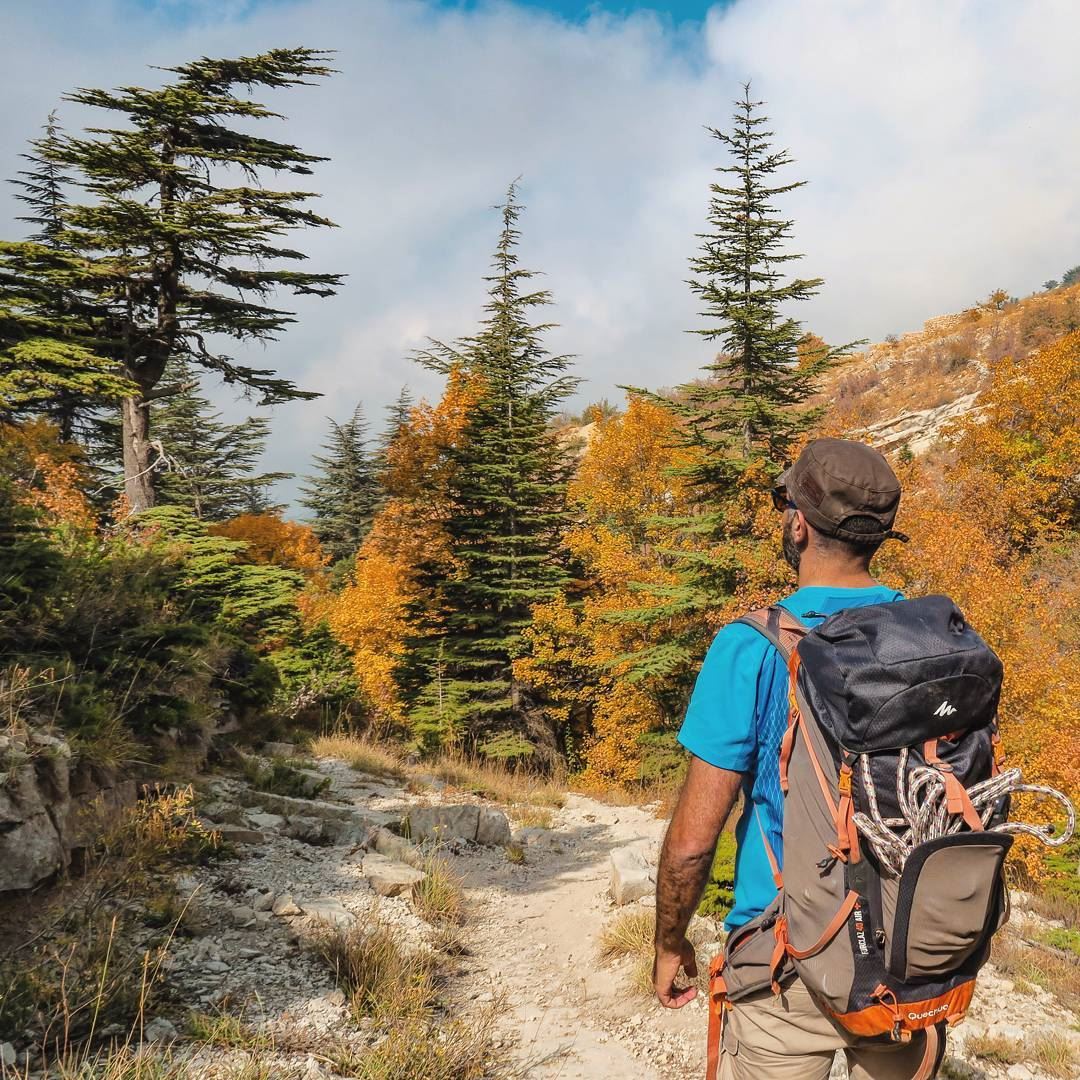 Irresistible Changes 🚶🌲🍁🍂 hike  hiker  backpack  nature  outdoors ... (Horsh Ehden)