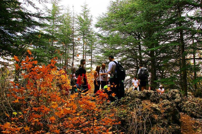 Is anything better than  autumn days ? 🍁 autumnleaves 🍂  sanelebanon 🍃