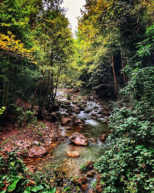 Is it  autumn already? .... chouwen  chouwenlake  mountain  beautiful ... (Chouène, Mont-Liban, Lebanon)