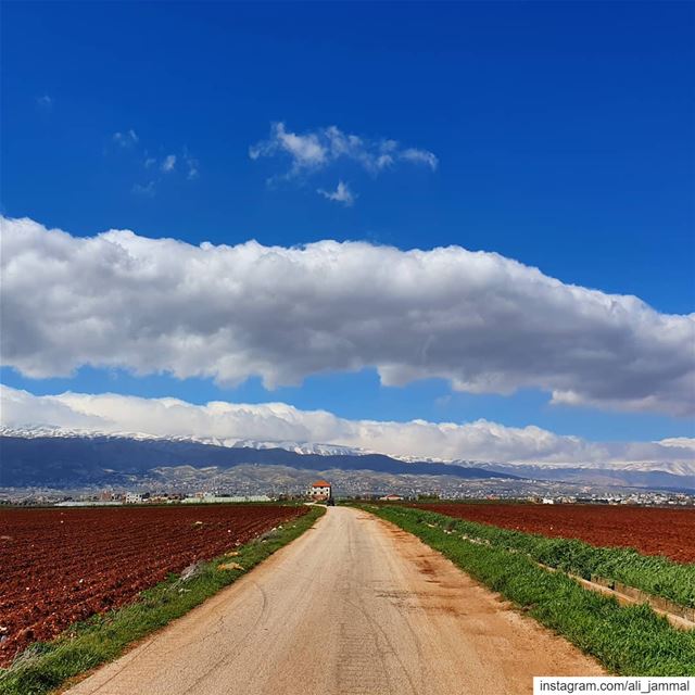 Is it spring yet?.. hellaniye  bekaa  beqaa  valley  lebanon  spring ... (Beqaa Governorate)