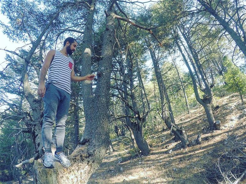 Is it the  weekend yet?  camping  campinglife  hiking  adventures ...