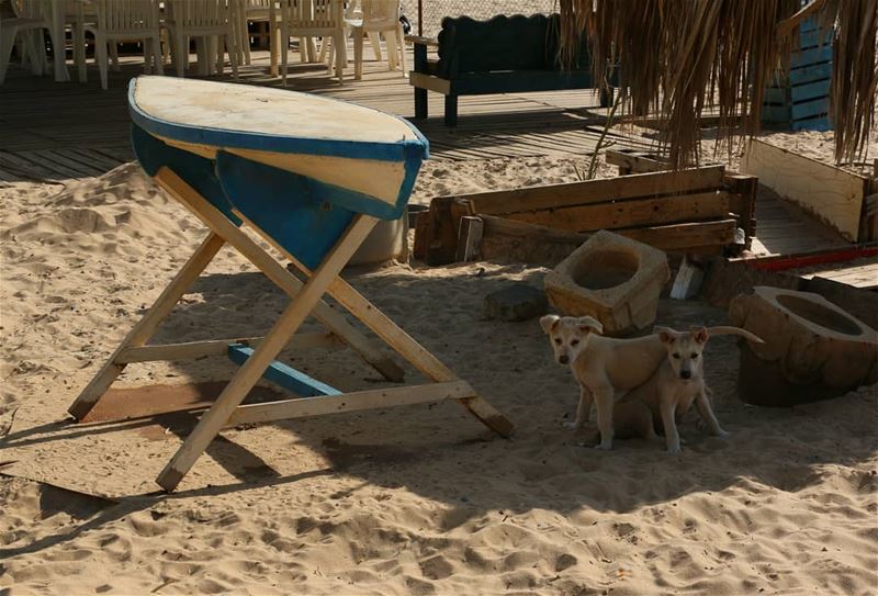 Is there a problem sir? We are just playing here in the shadow:)... (Ramlat Al Bayda', Beyrouth, Lebanon)