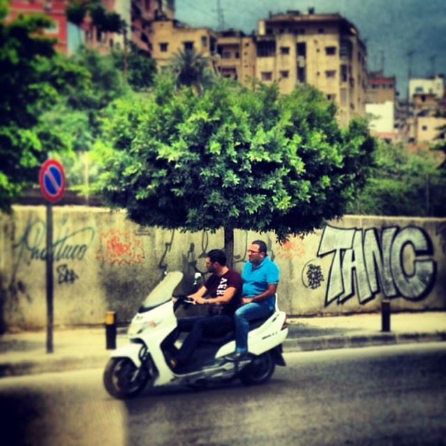 Is There A Tree On My Back?  typical  beirut  street  scene  lebanese ...