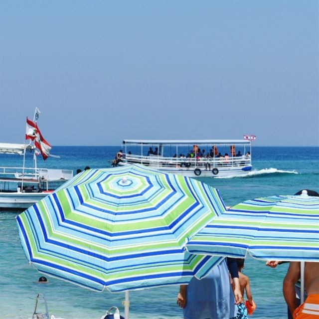 🏖🌊🚤••••••••••••• island  sea  summer  Lebanon  thisislebanon ... (Palm Islands- El Mina Lebanon)
