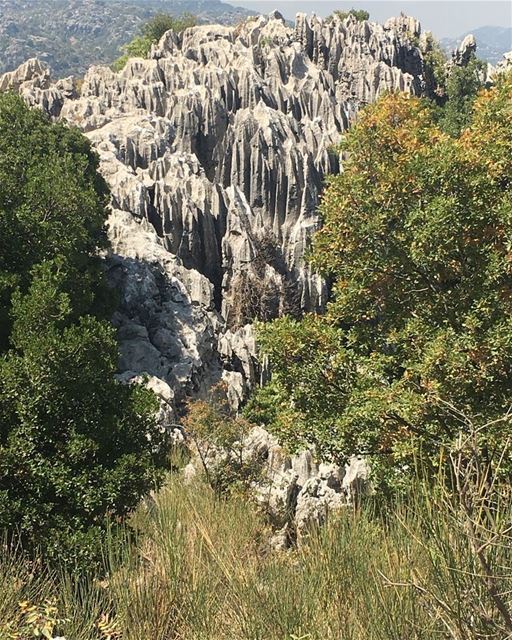 Isn't  JabalMoussa the perfect escape destination?  unescomab ...