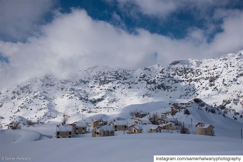 Isolated !... from the heart of the  lebanese  mountains comes this ...