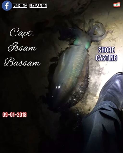 @issambassam @fishinglebanon - @instagramfishing @jiggingworld @whatsupleba (Beirut, Lebanon)