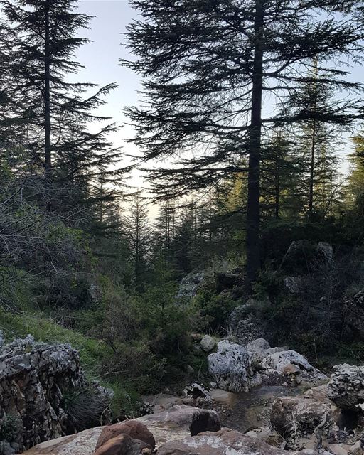 It feels good to be lost in the right direction naturelovers  lebanon ...