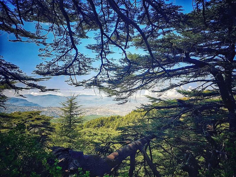 It feels good to be  lost in the right direction ↔ مشوار_مع_مغوار ... (Arz el Maasser)