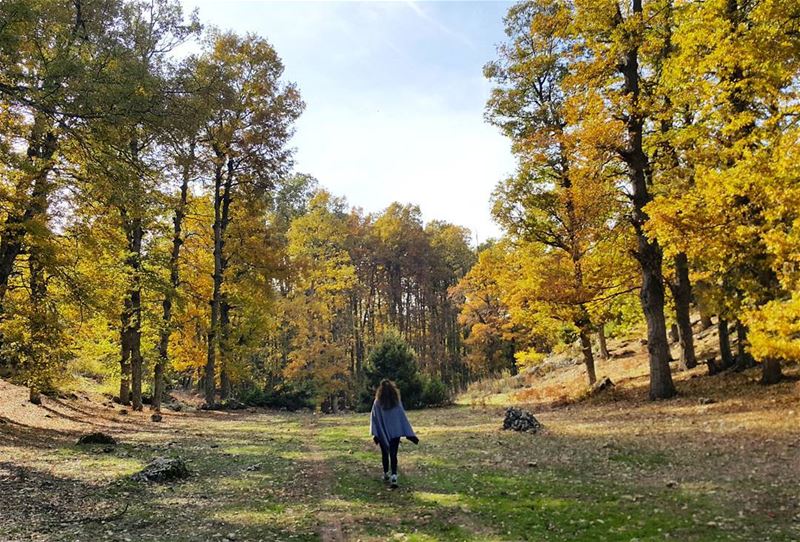 " It feels great to be Lost in the right direction " lebanon ...