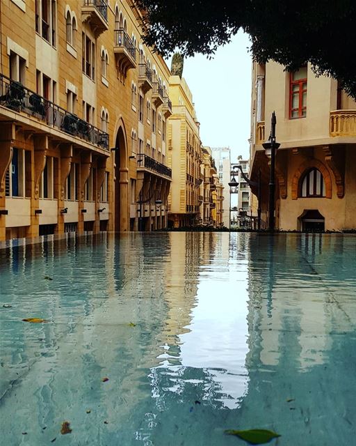 It feels like a chameleon .. who mirrors nature not people!!! 🍃💙🦎💚💦... (Downtown Beirut)