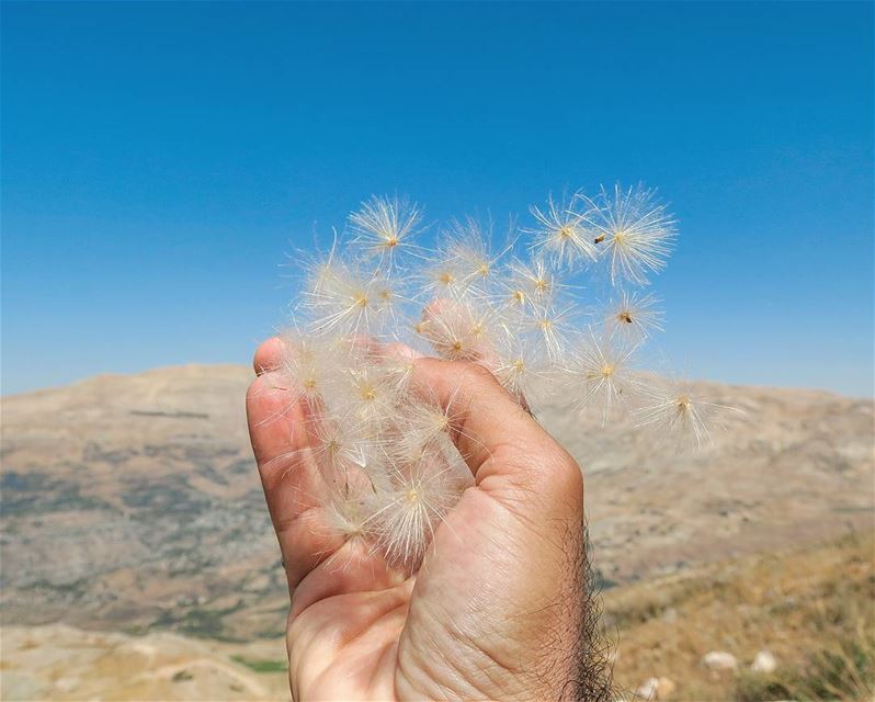 It felt like magic ✨ hike  outdoors  nature  fluffy  hand  grab  magic ...