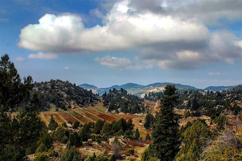 "It is a rough road that leads to the heights of greatness." - Lucius...