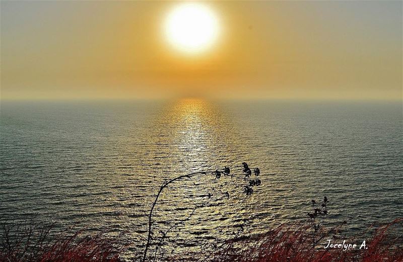 It is almost impossible to watch a sunset and not dream.  dream sunset ... (Shekka - El Heri)
