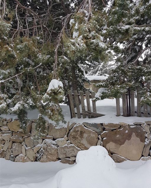 It is freezing.... snowing  landscape  landscapephotography  neige ... (Faraya Mzaar)