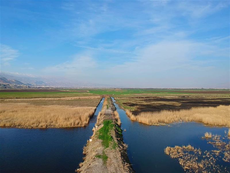 It is said that, only in the peace of Nature, you may find the connection... (`Ammiq, Béqaa, Lebanon)