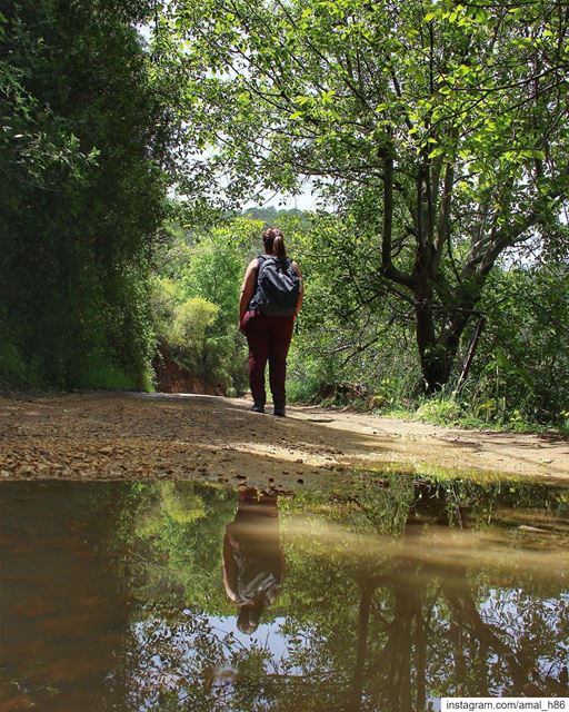 It is the wild ones who will set you free.... forest  lebanon  world ... (Marj Bisri)